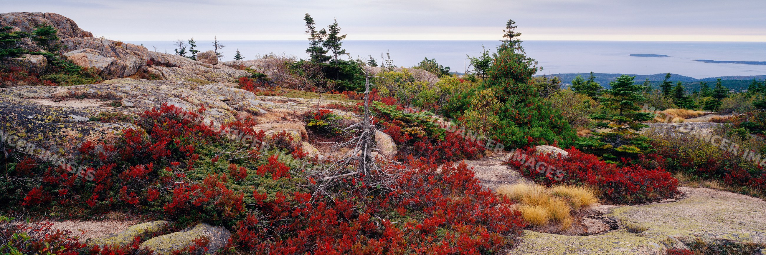 Scenic rocky landscape with autumn foliage