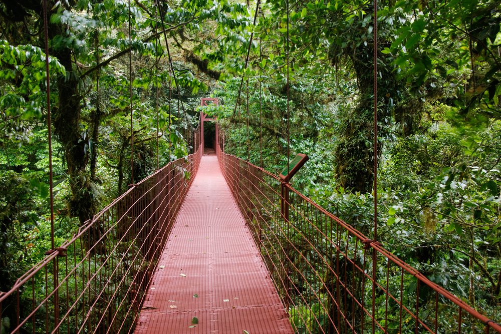 Hanging suspension bridge costa rica