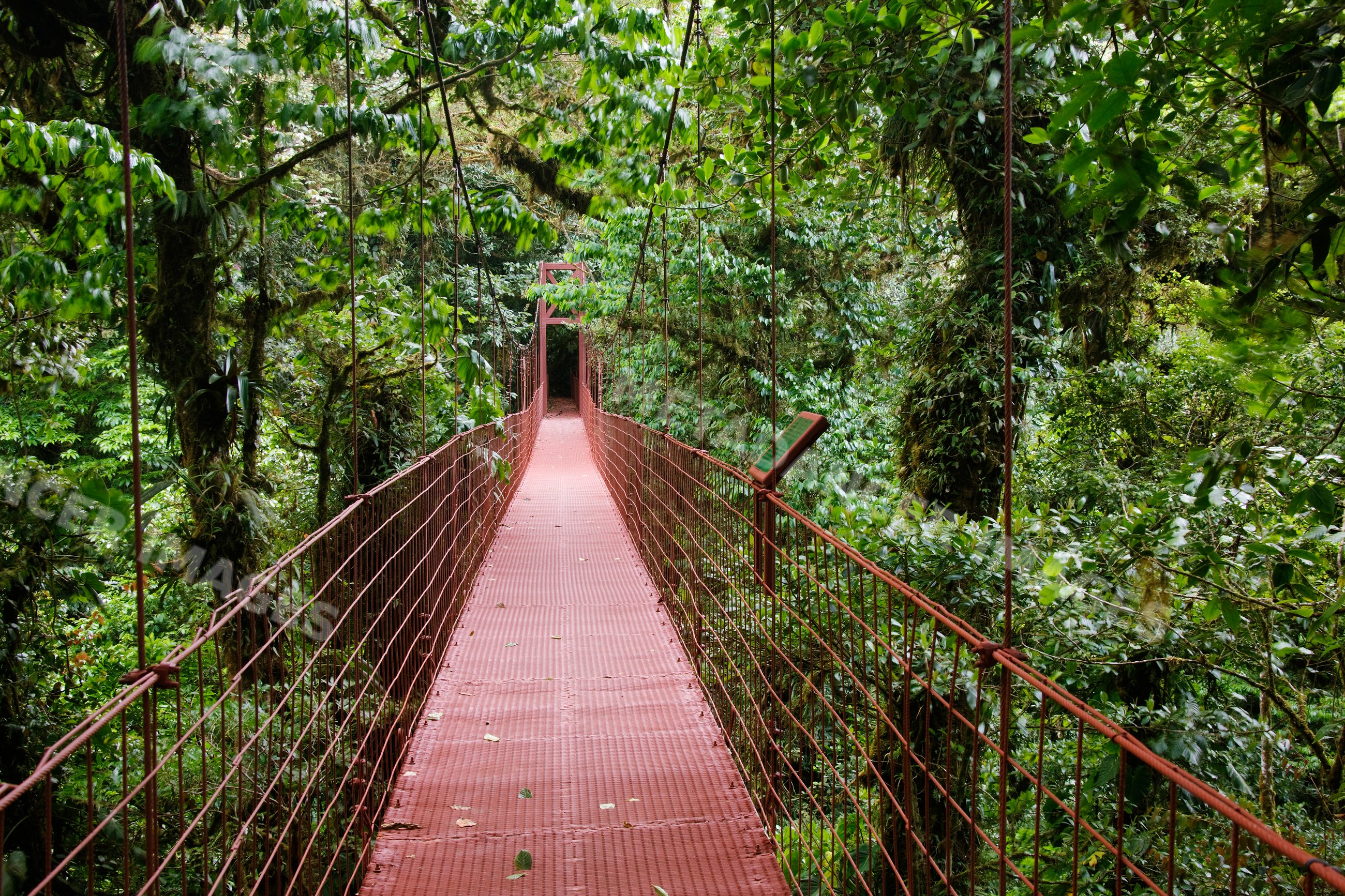 Hanging suspension bridge costa rica