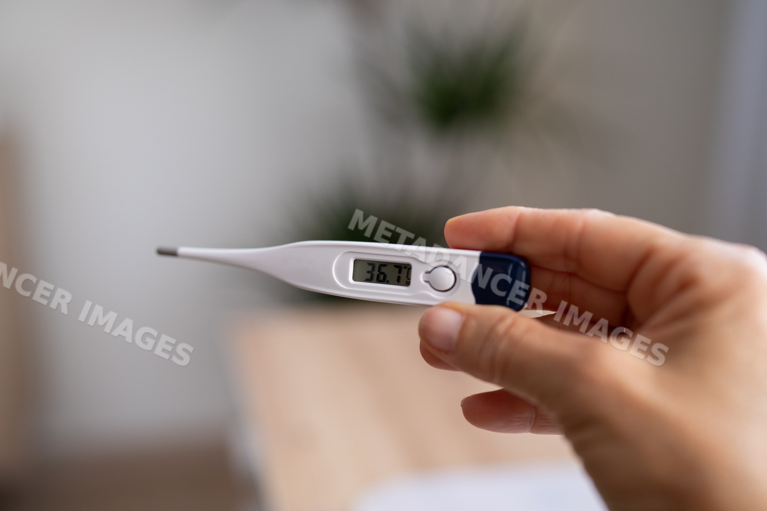 Digital thermometer measuring body temperature indoors