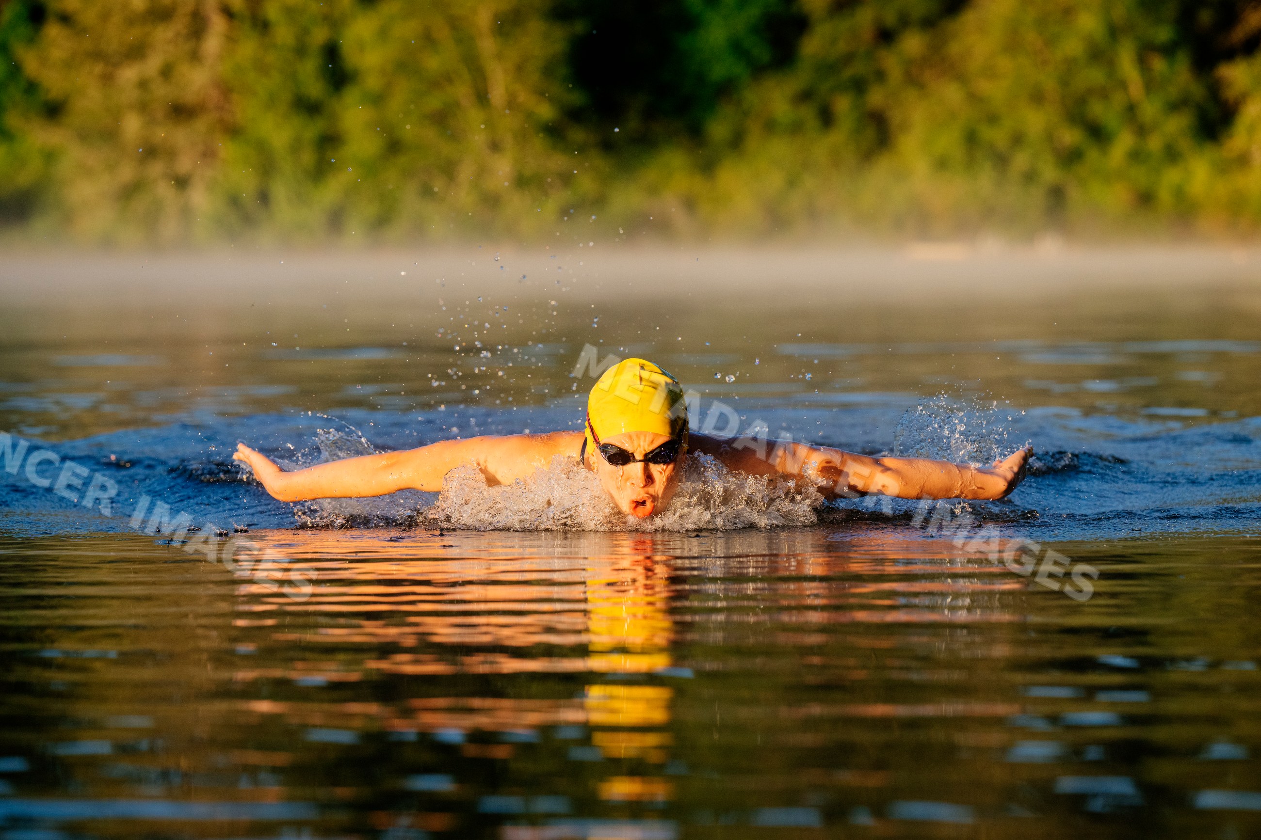 White swimmer performing butterfly stroke