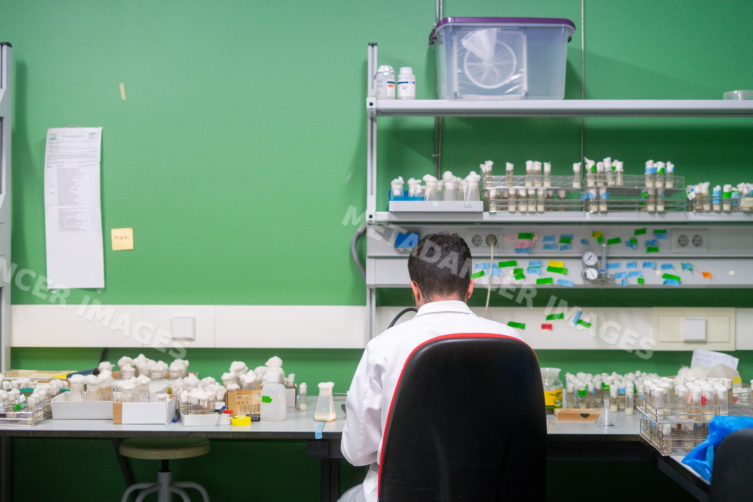 Scientist works with test tubes Inside A Research Laboratory
